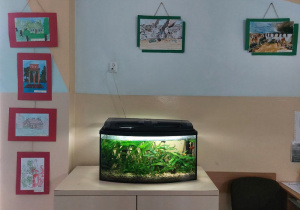 Akwarium na szkolnym korytarzu.
