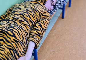 Śpiący tygrysek z V b.