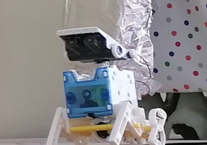 Praca Nataszy - najmniejszy ze wszystkich robot solarny